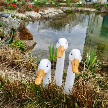 White Geese