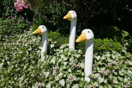 White Geese