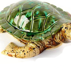 Collection image for: Turtles