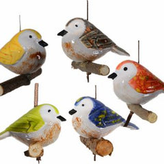 Collection image for: Birds