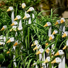 Collection image for: Garden Stakes