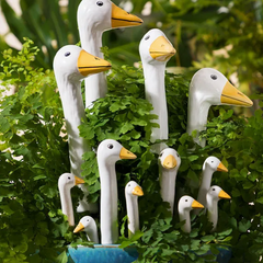 Collection image for: Plant Picks