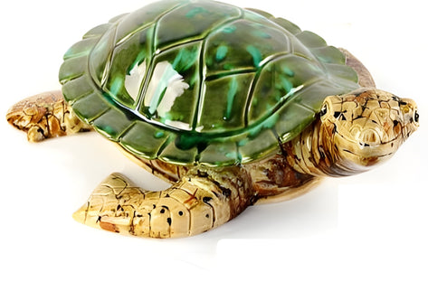 11" Turtle