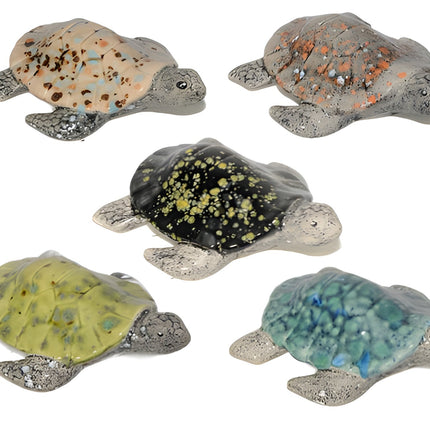5 pack Multi Colored Turtles