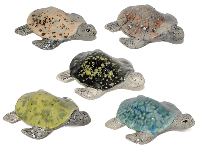 5 pack Multi Colored Turtles