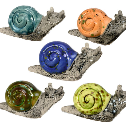 5-pack Multi-Colored Snails