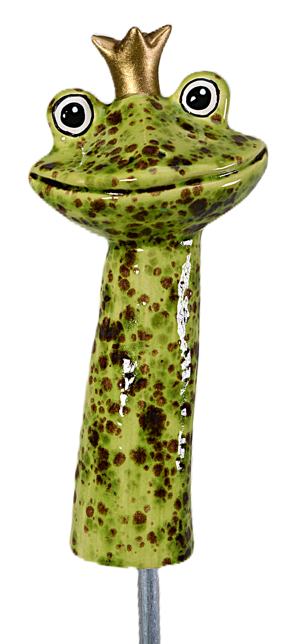 Frog Prince