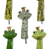 Frog Prince