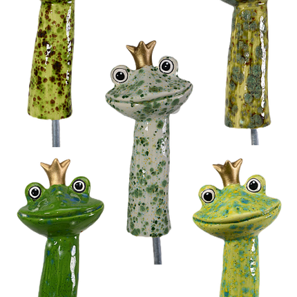Frog Prince