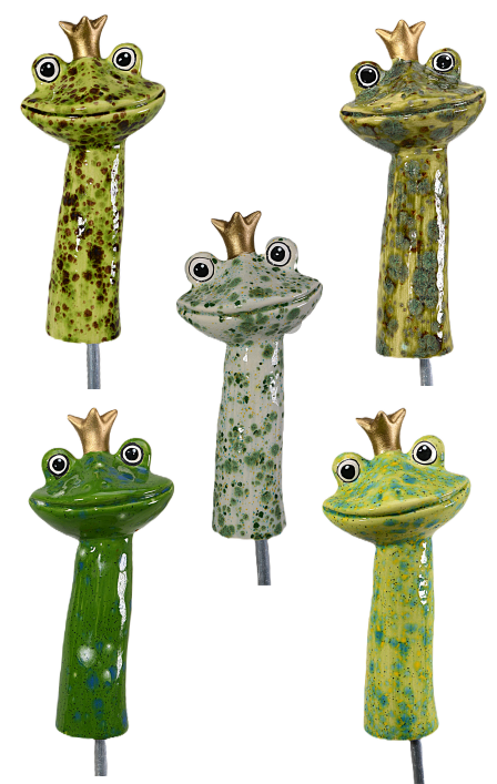 Frog Prince