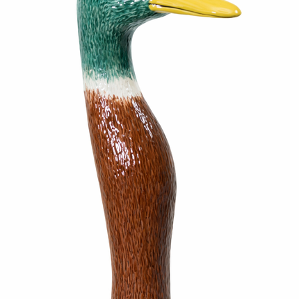 Mallard Duck