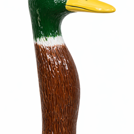 Mallard Duck