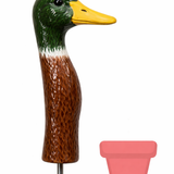 Mallard Duck (4 Sizes)
