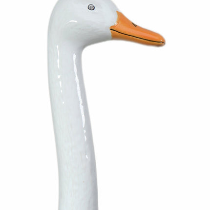 Ducks