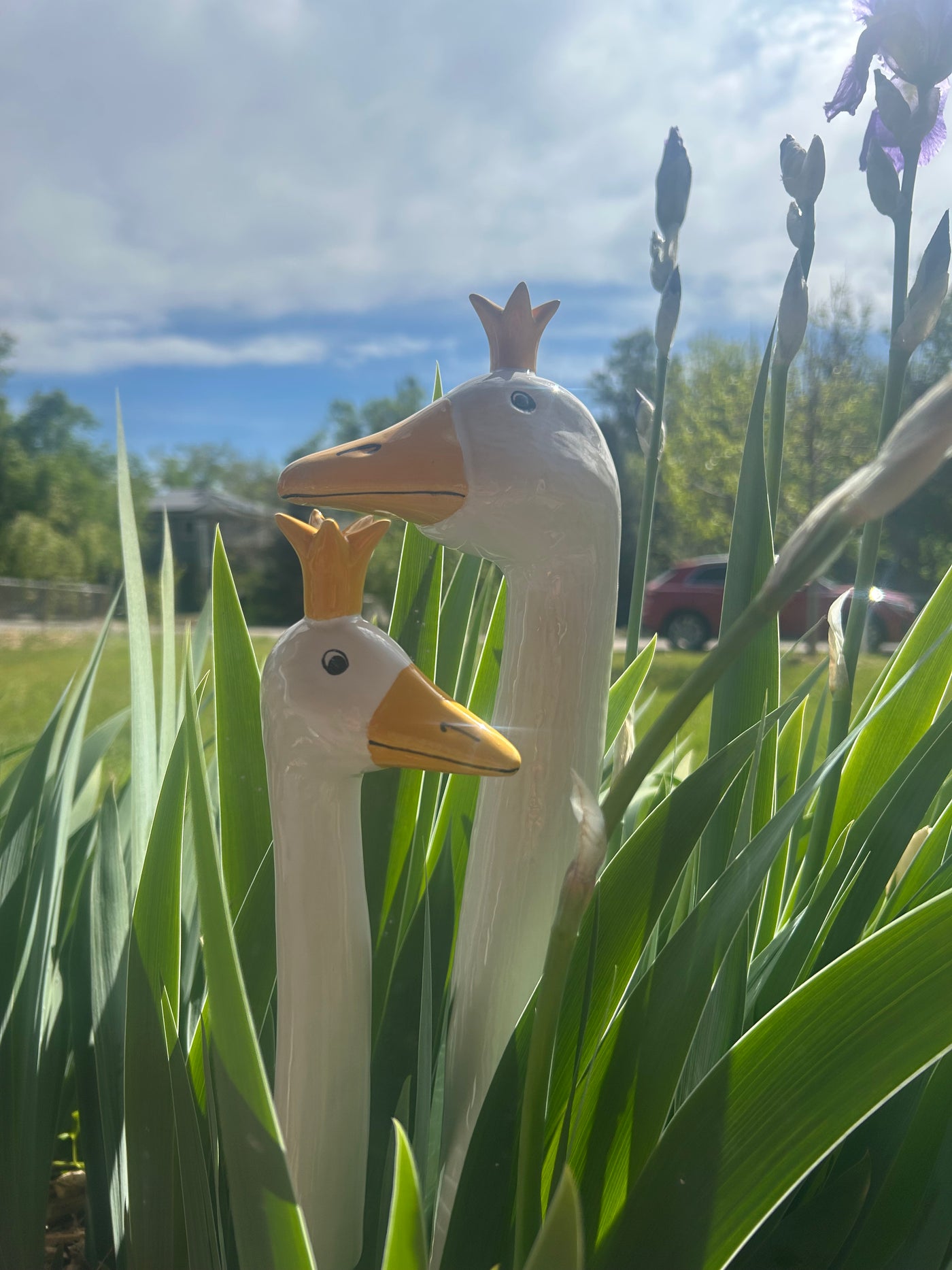 Crown Goose (2 Sizes)