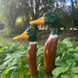 Mallard Duck (4 Sizes)