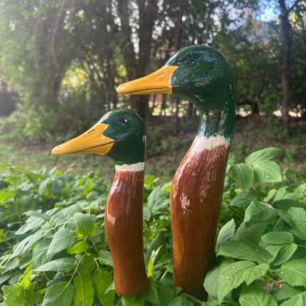 Mallard Duck (4 Sizes)