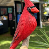 Red Cardinal
