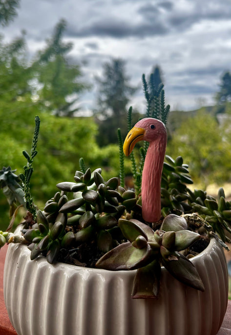 Flamingo