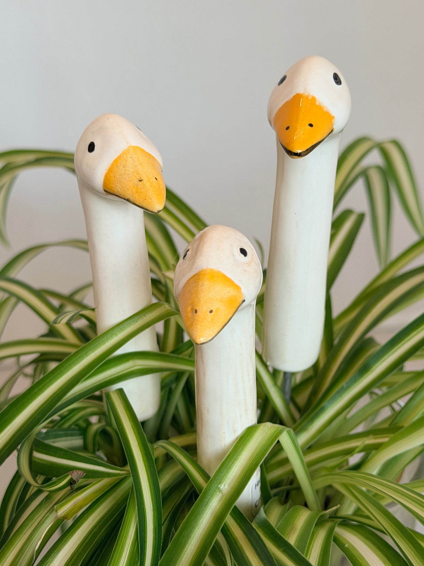 Garden Geese (4 Sizes)