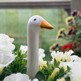 Garden Geese (4 Sizes)