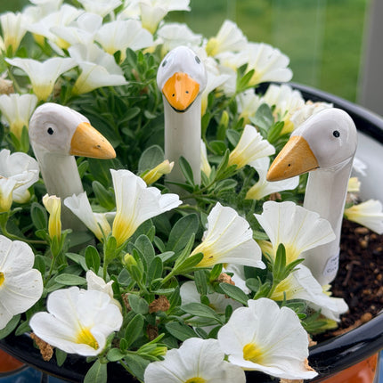 Garden Geese (4 Sizes)