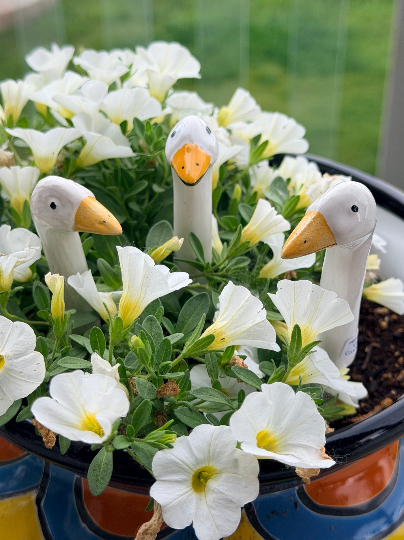 Garden Geese (4 Sizes)