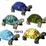 Box Turtle