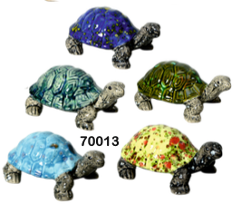Box Turtle