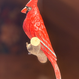 Red Cardinal