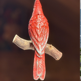 Red Cardinal