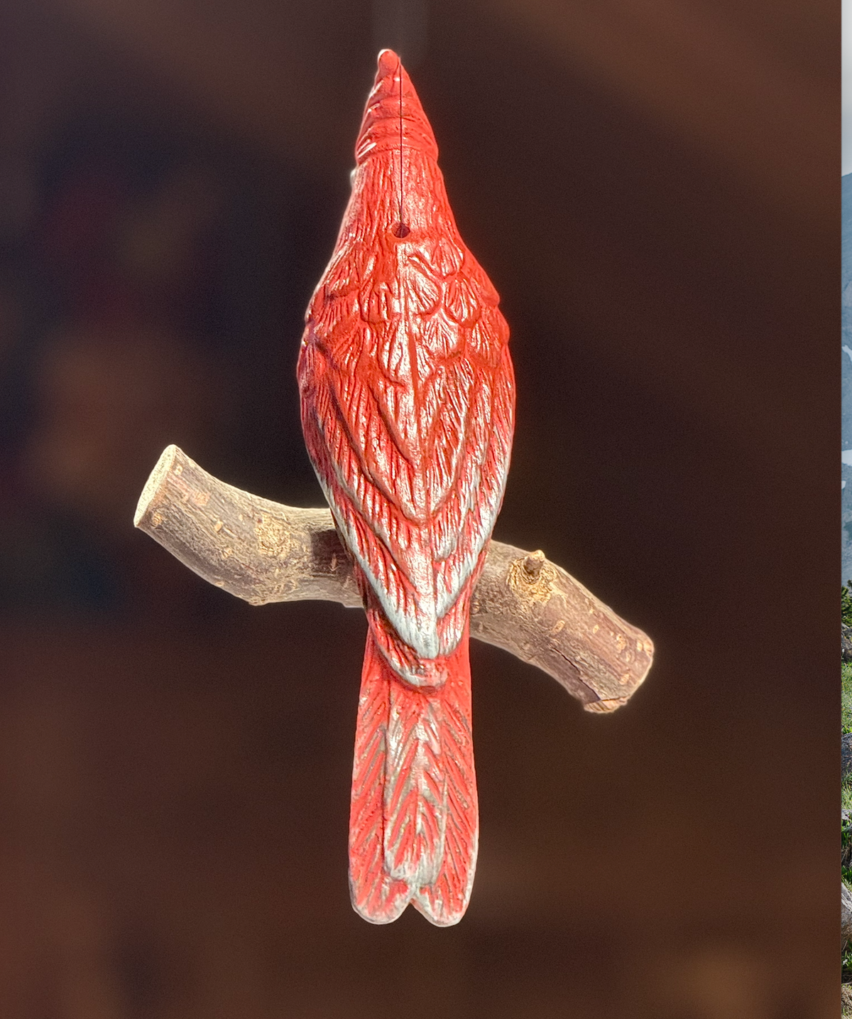 Red Cardinal