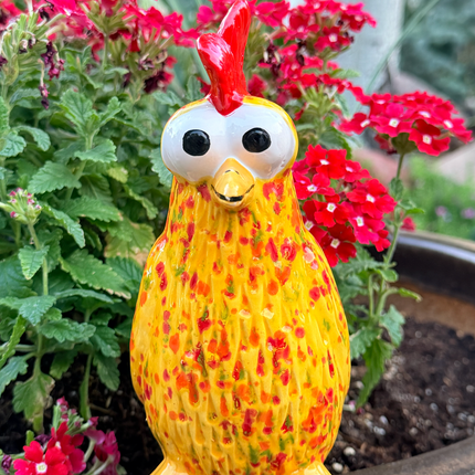 Hen (Small)