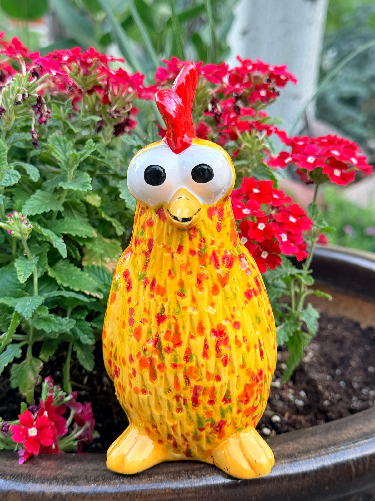 Hen (Small)