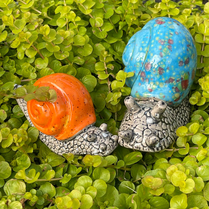 5-pack Multi-Colored Snails