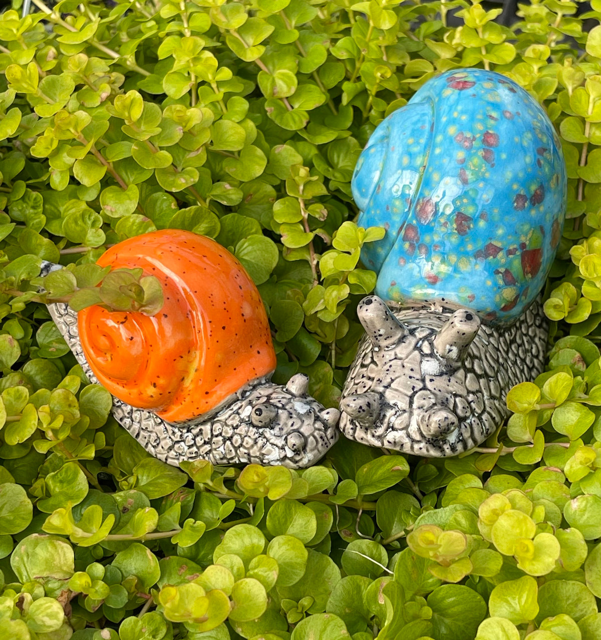 5-pack Multi-Colored Snails