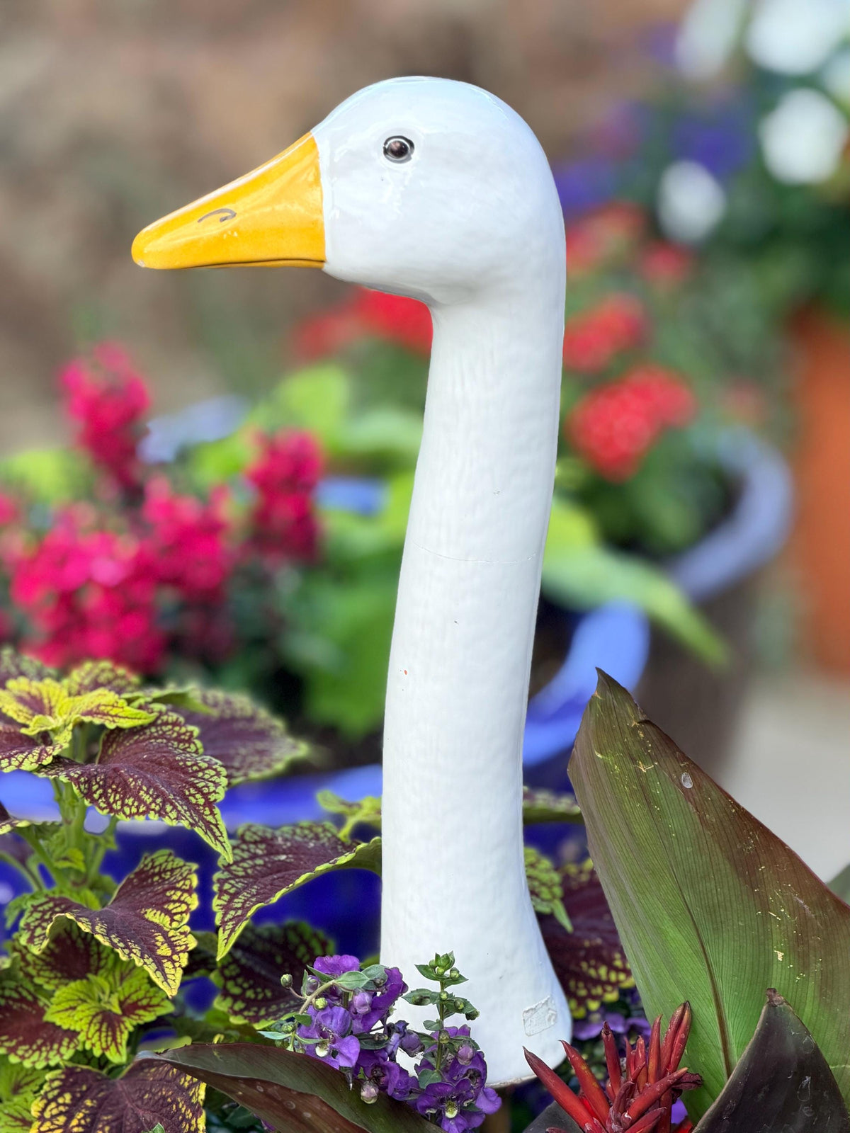 Garden Geese (4 Sizes)