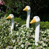 Goose & Gander Goose Necks