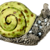 Colored Snails (Medium)
