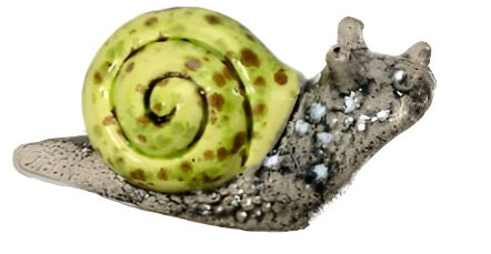 Colored Snails (Medium)